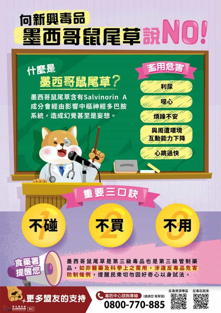 向新興毒品墨西哥鼠尾草說 NO！圖片