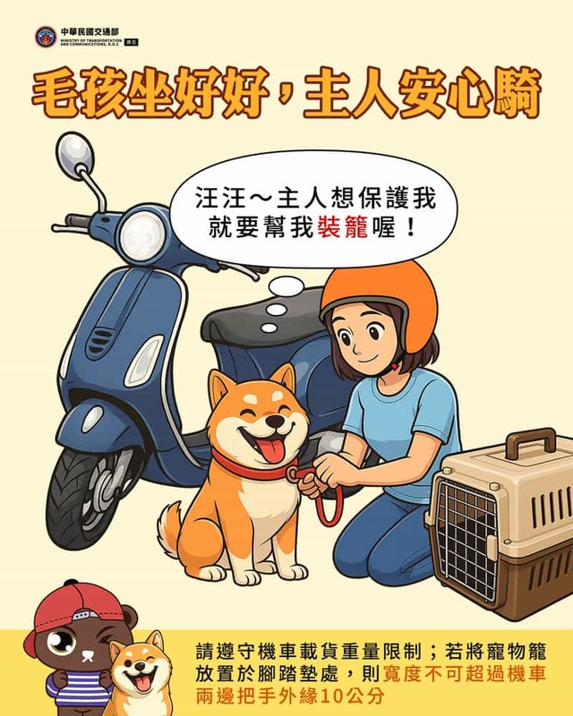 毛孩坐好主人安心
