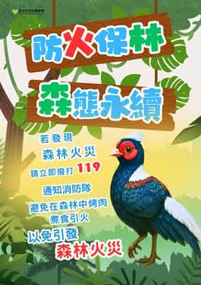 防火保林森態永續1